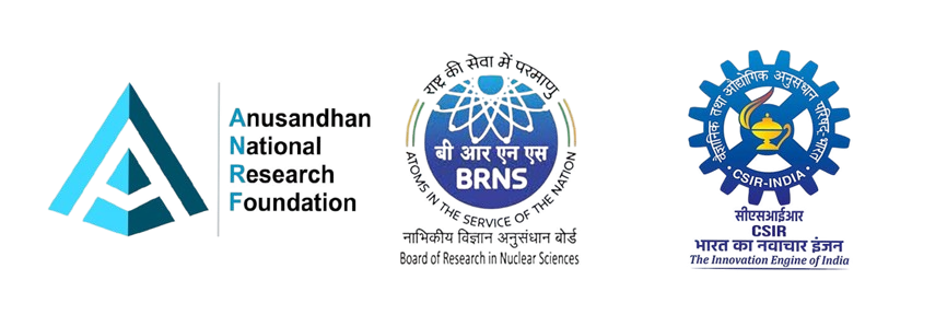 ICAMSE Sponsorship Logo